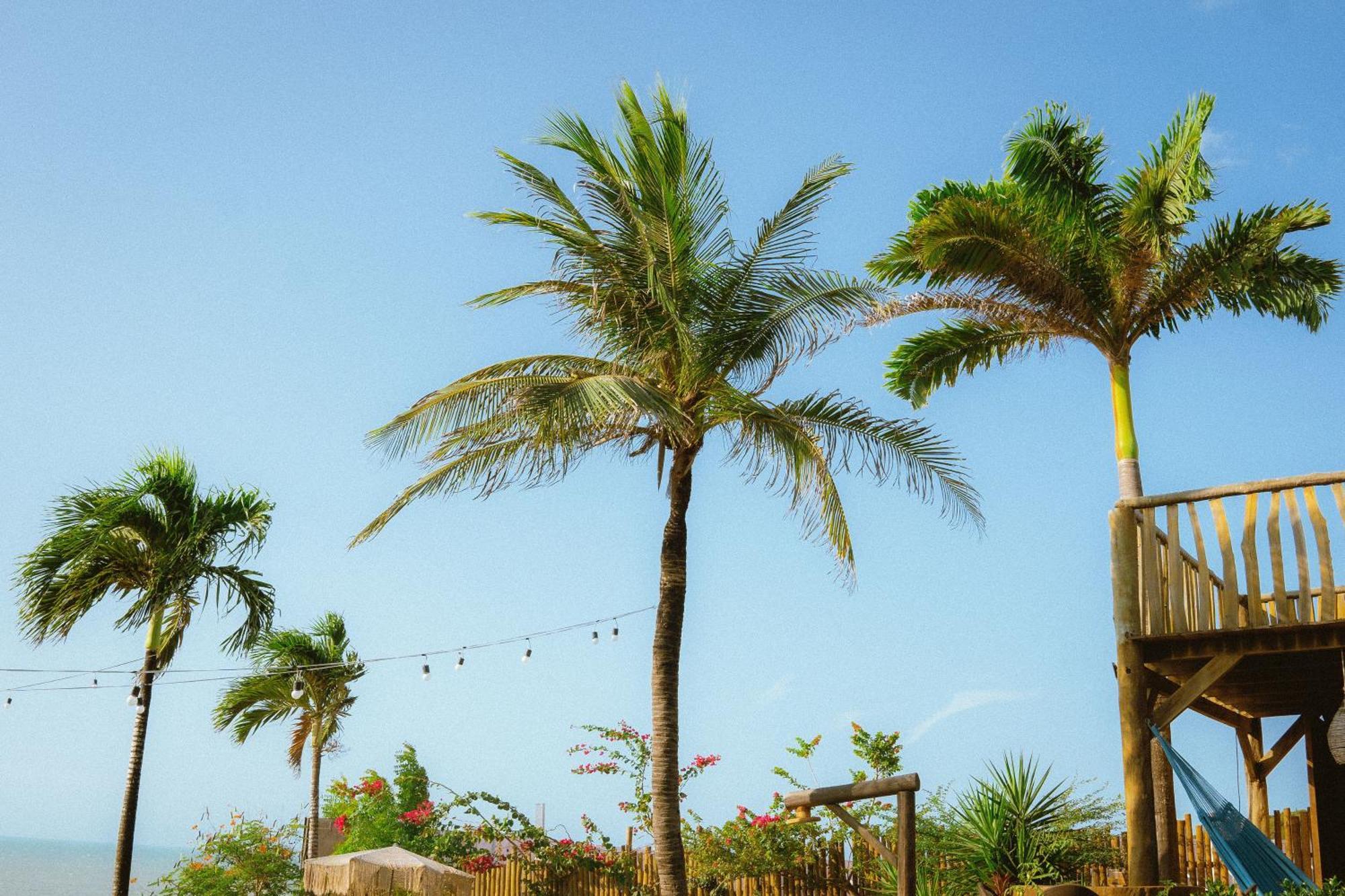 Hurricane Jeri Jijoca de Jericoacoara Exteriér fotografie